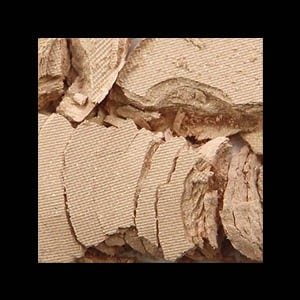 Eyes & Cheeks Refil N° 14